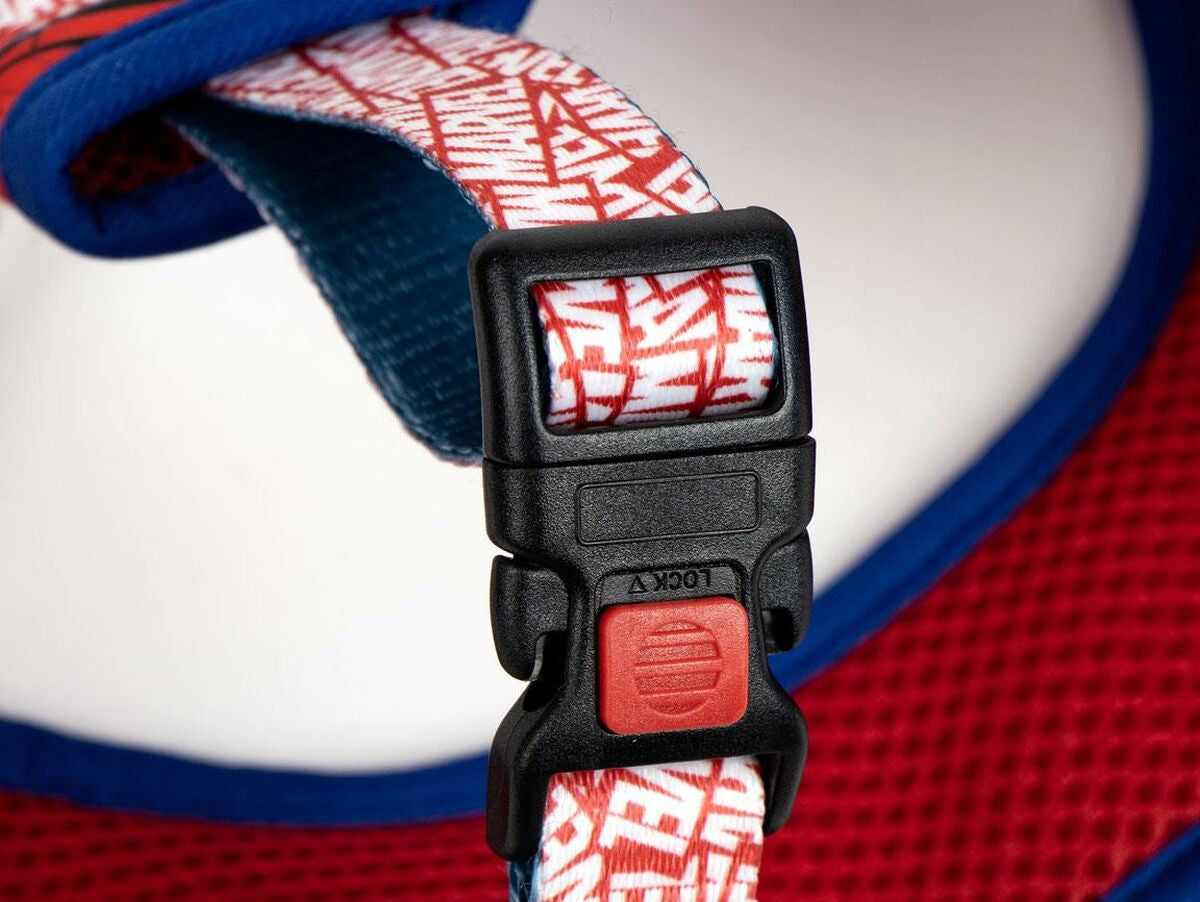 V5H15119CBCA0054709C8E75DF81CA601C2R6606885P9