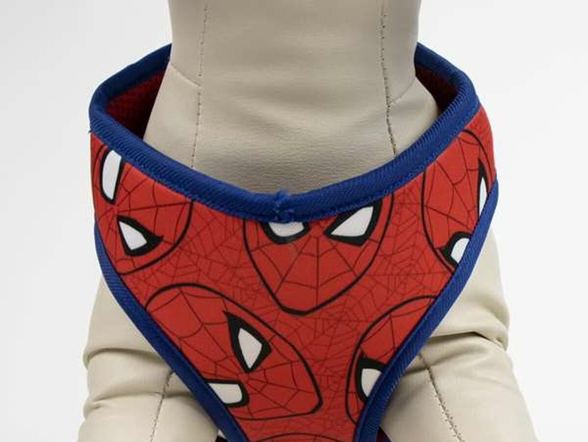 V6H7B8F166A833EA8A1281568C433ACC179R6605589P10