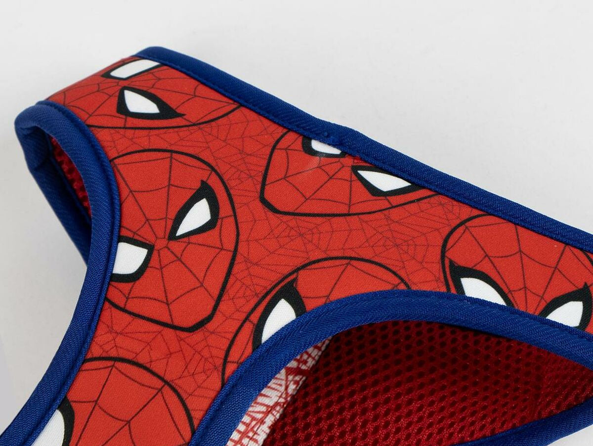 V6H5D156F3A972D5CA96E27960E805215A9R6605599P6