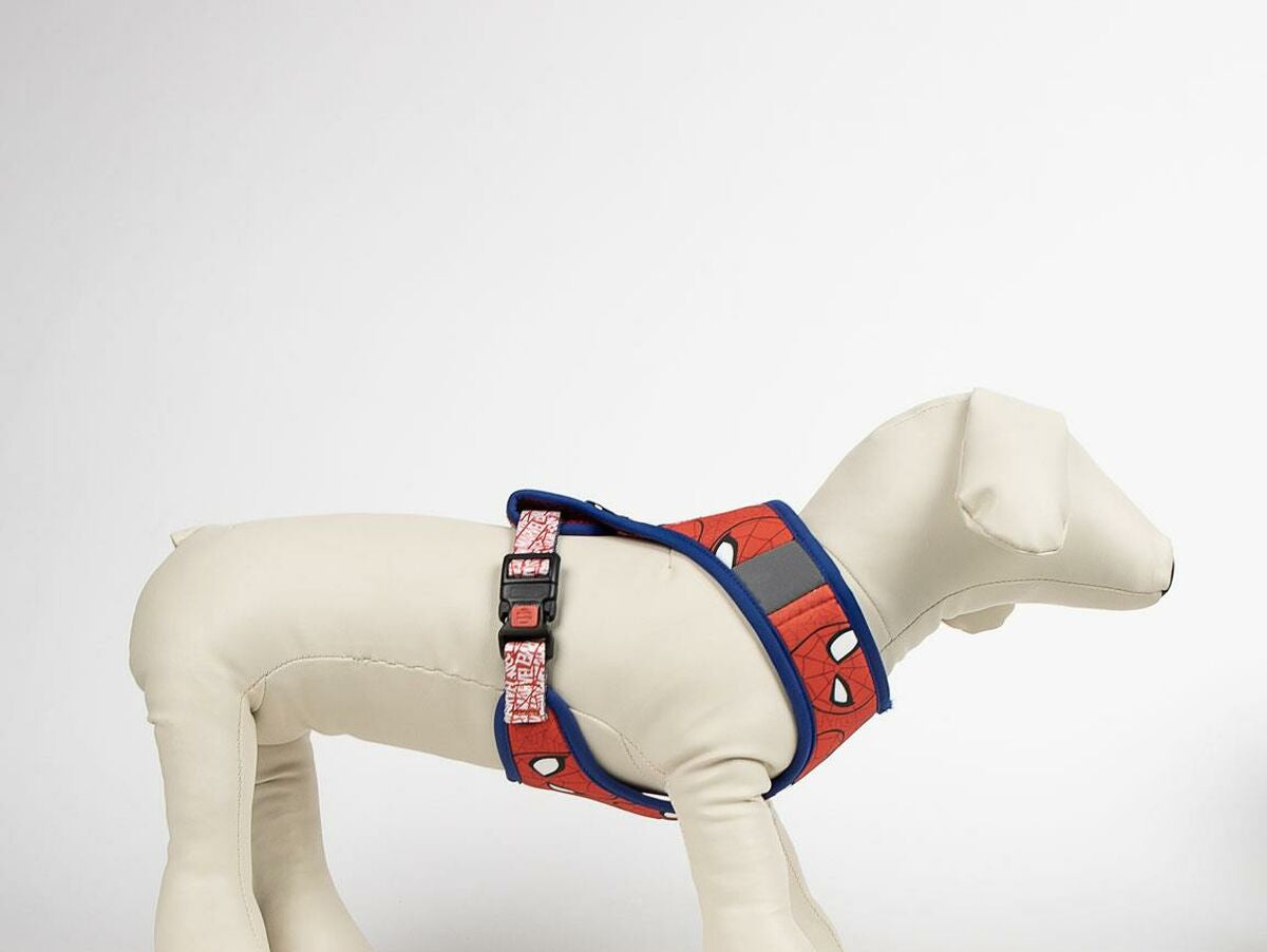 V5HF5730B7E6B02A8AE5C8445BF41A302FDR6606932P4