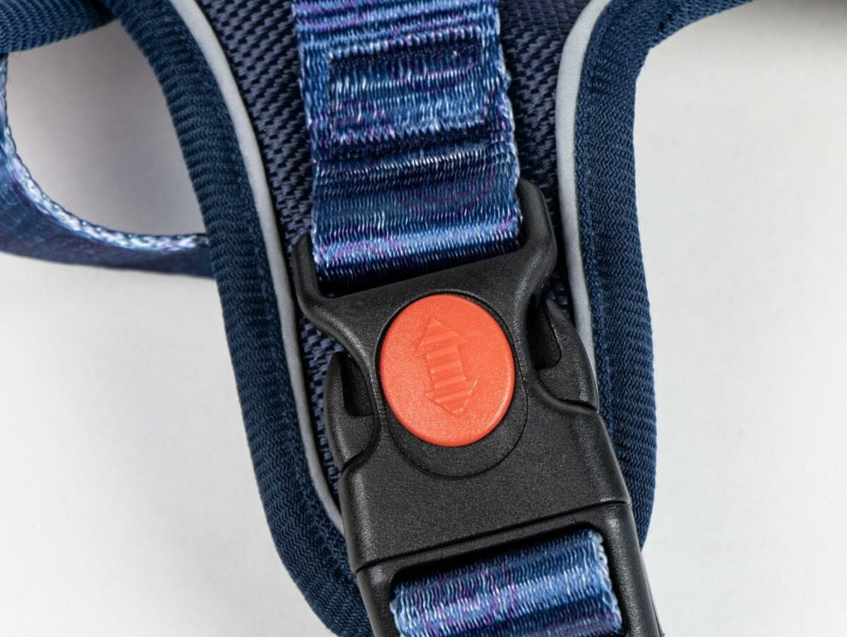 V4H491931651C2EAA21022794268D7540AFR5093410P6