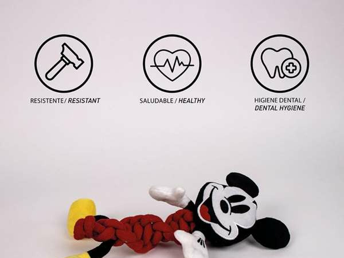 V5H32DC5CECF29F424237CB32BF409A3539R6791806P4