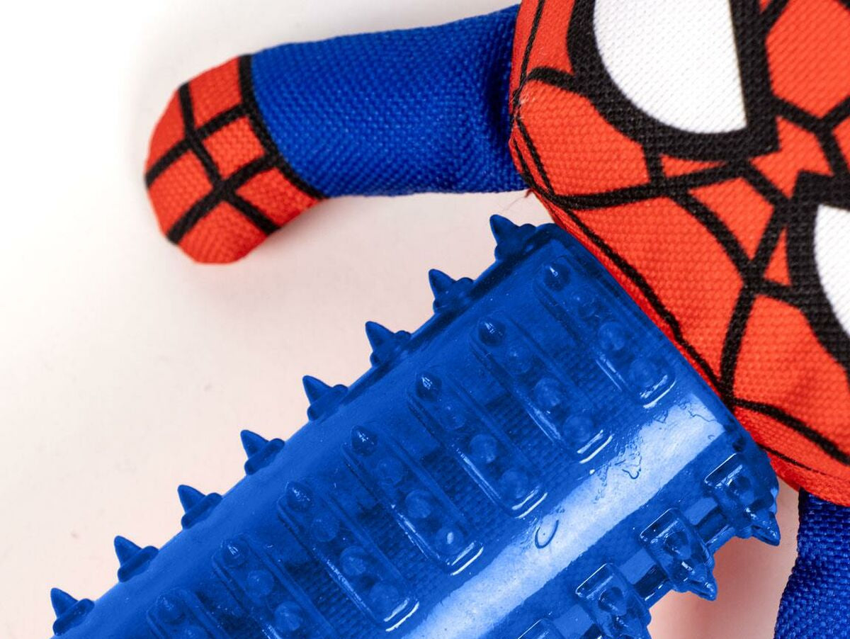 V5H6DD4B2123A82237C3E0F28916BBDBE4FR5100439P6