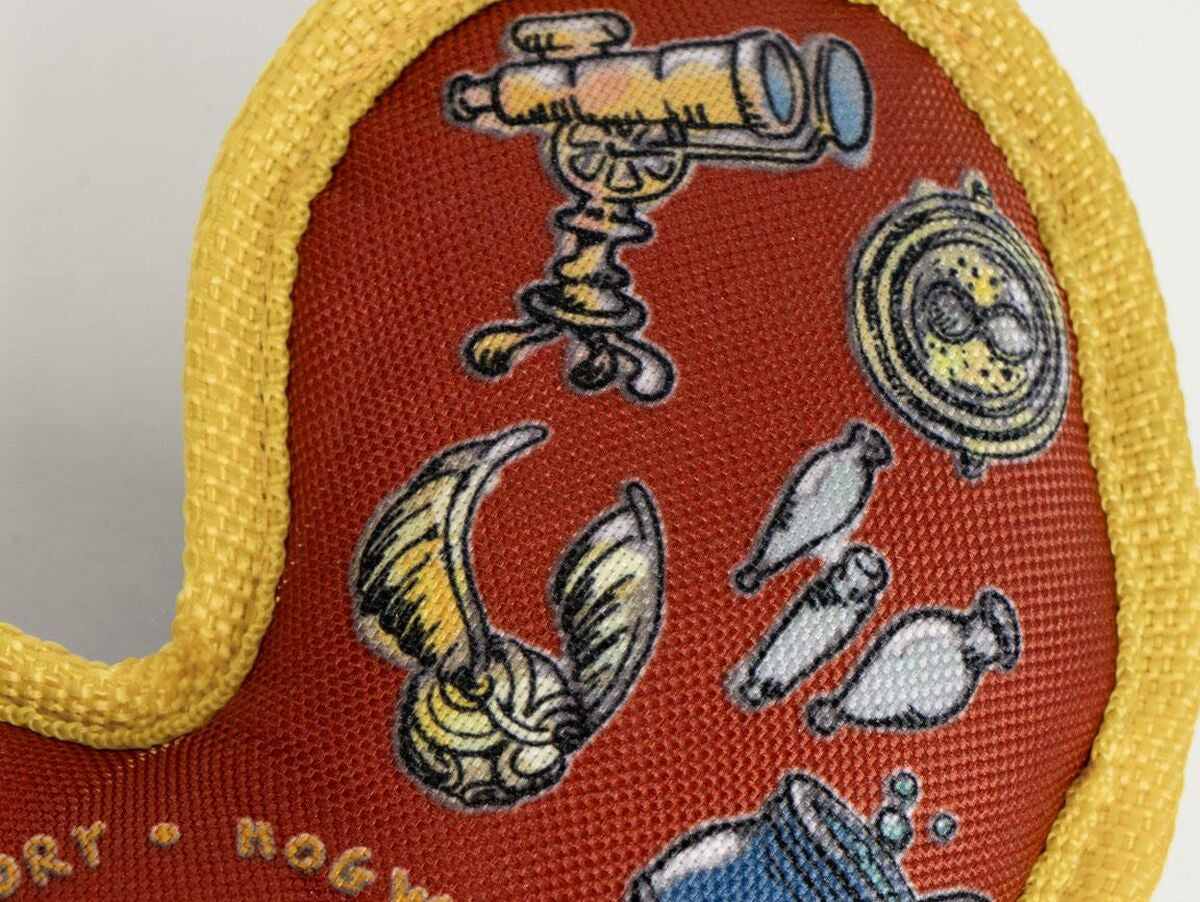 V6H32BE608124577676B64B23FE9A3DFDA7R5100427P5