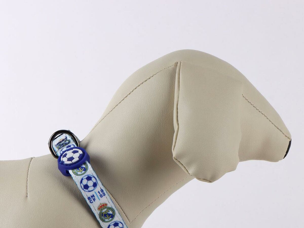 V4HBC517248227A63FC644994DB240BC91FR7186261P6