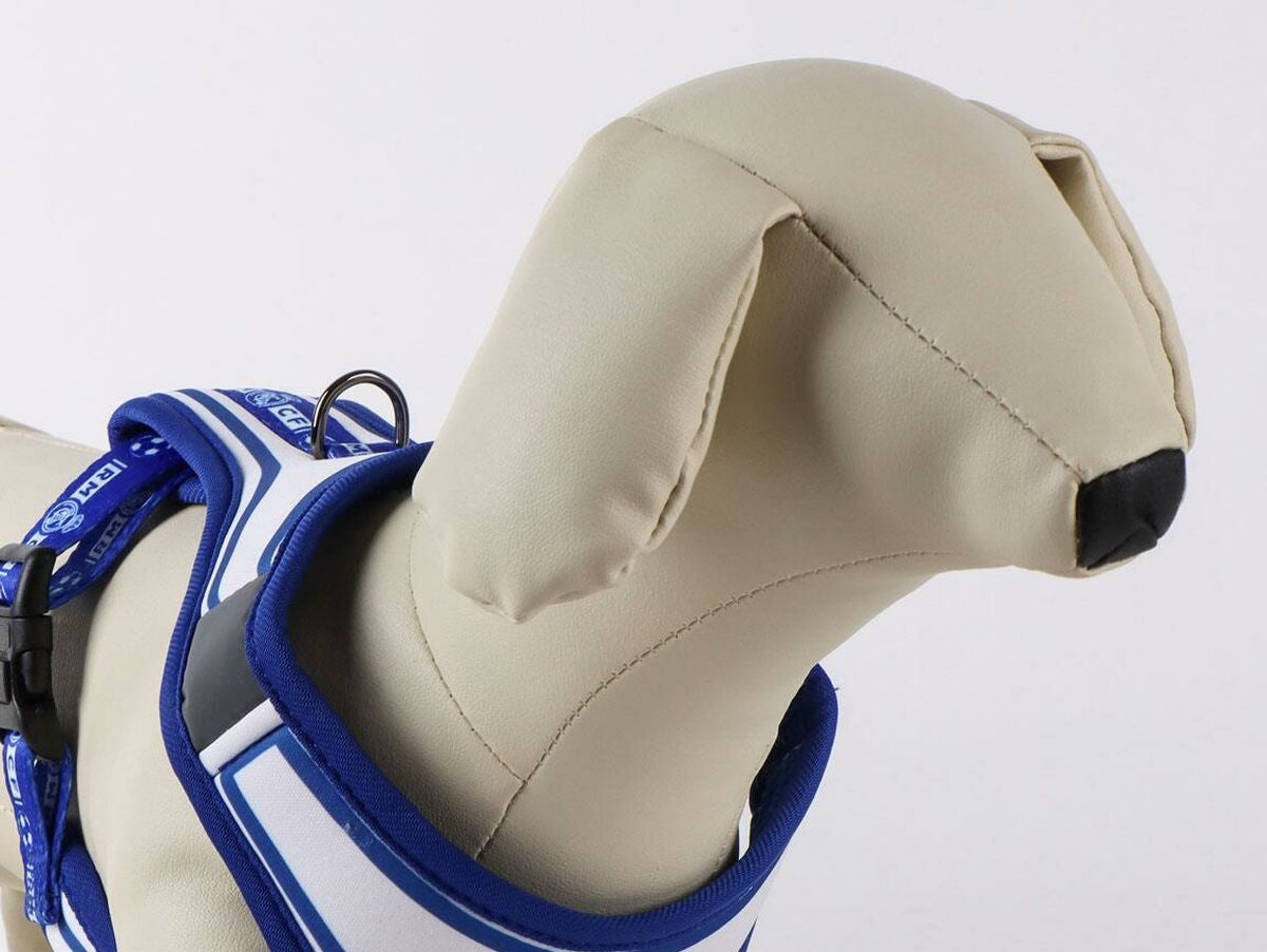 V4HEB324AE9160BA3FC1187C1D1AF9F9C6BR7187169P9