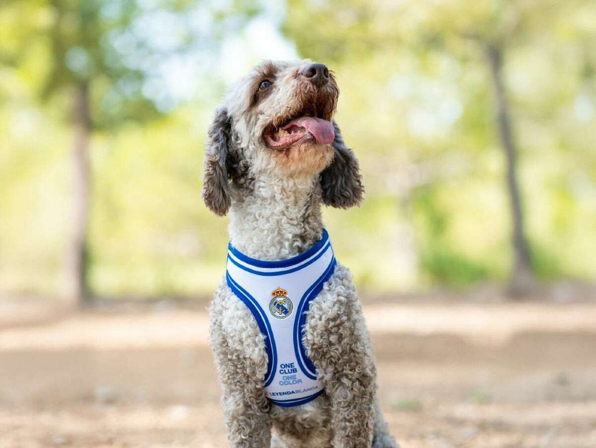 V4H7E1E28EB890B114155A40562F8793319R7186618P3