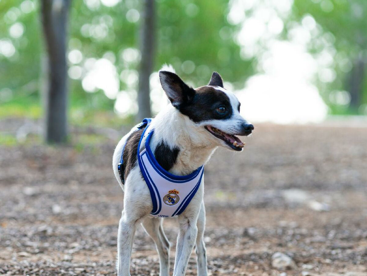 V4H4F8EBF4D4EEA76236892A04E9DC9515FR7186628P10