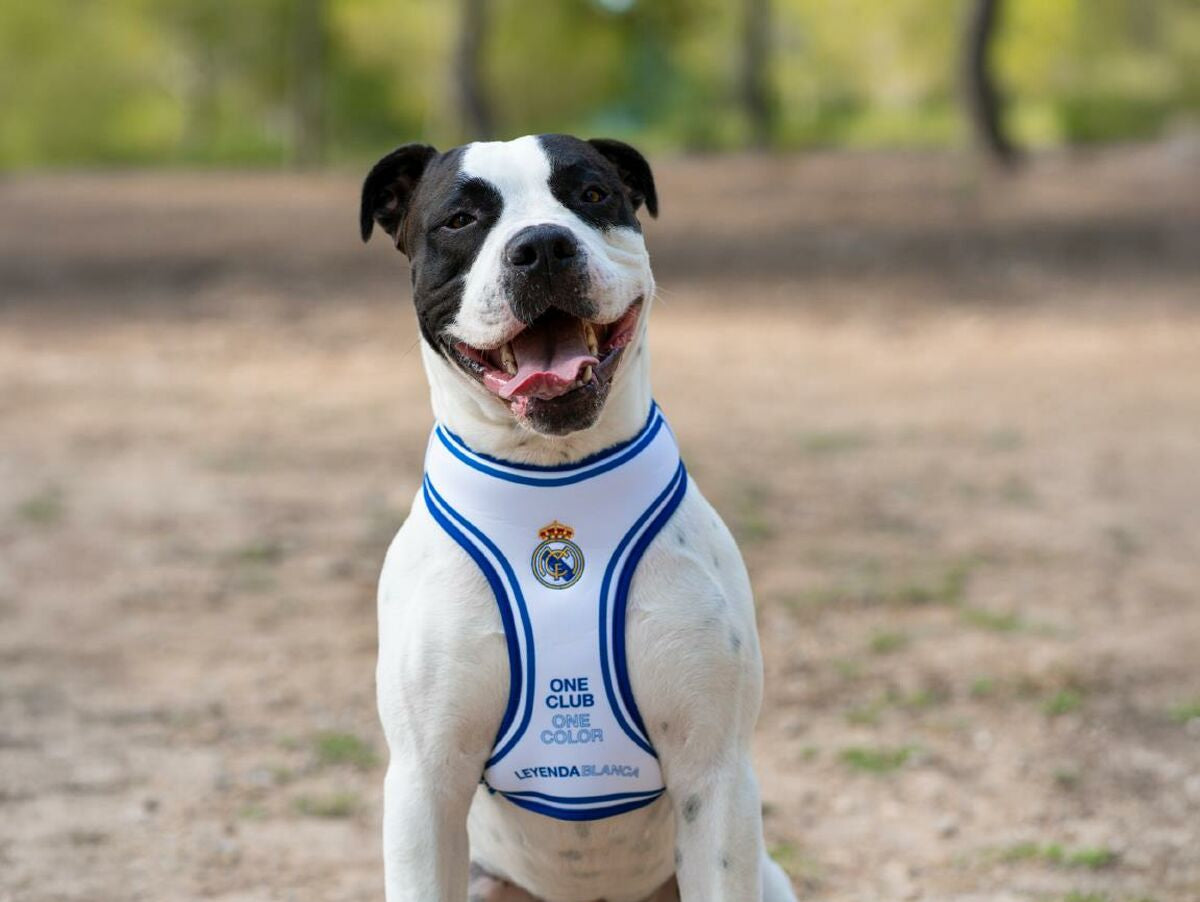 V4HDF1D0A9591A663EA77BF69ECCBEF5C73R7187305P3