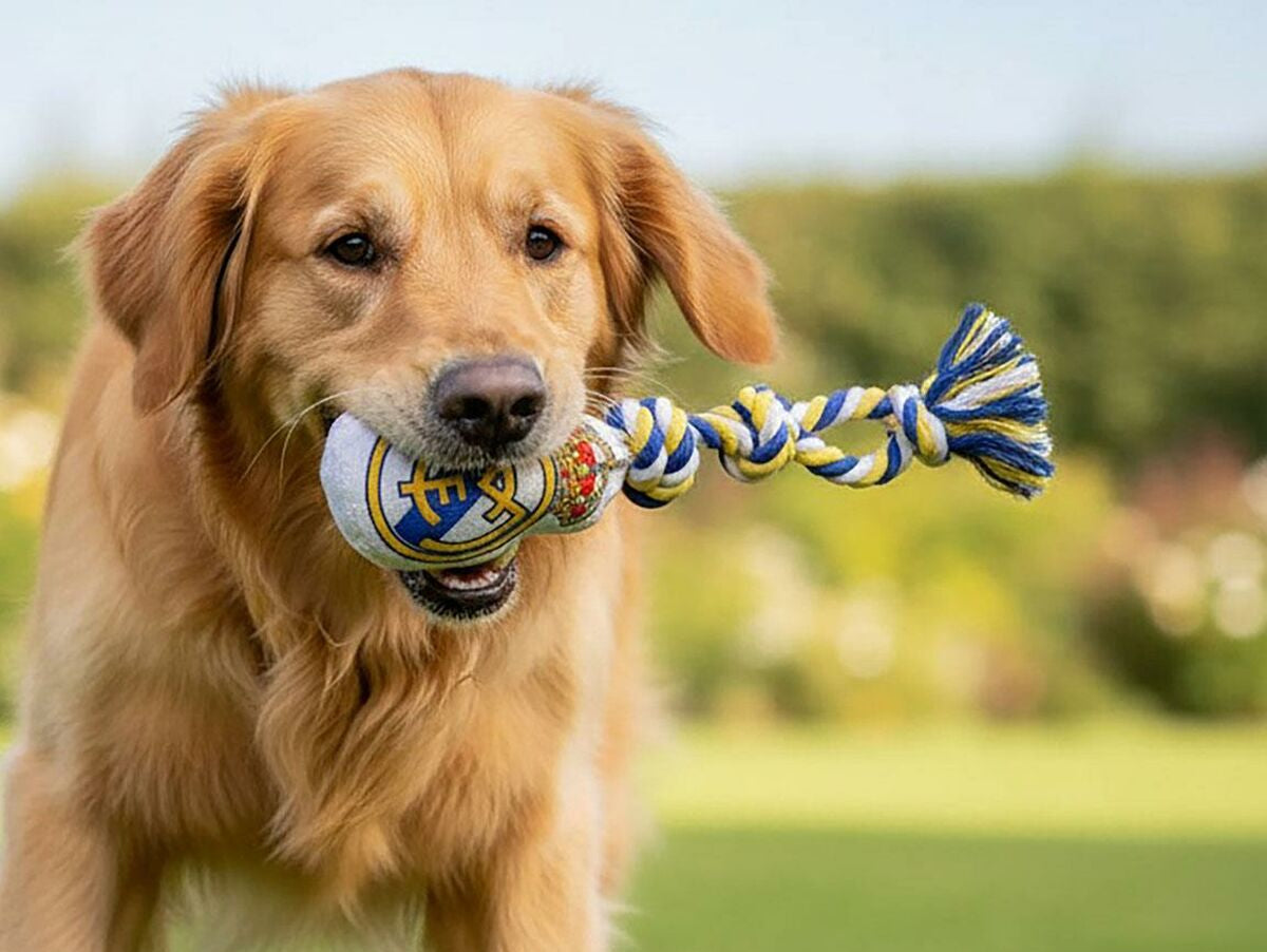 V4HC742CC70F3FB346A7D8123742FB714DCR7187330P5