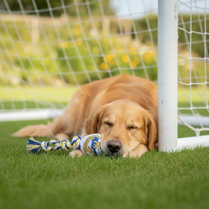 V4HB6C4F9B67D862A7D0EE9CF78DD81B83AR7187334P6