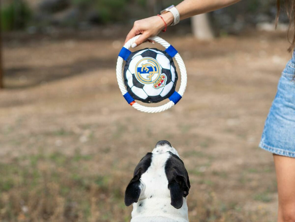 V4HAF34C54344F83DB35B796C991959C40DR7021653P2