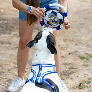 V2HF060AF440EEF430ED6DBA4AC614041DDR7021654P3