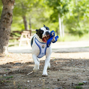 V2H4F45453E35495E783DDAD62643881888R7021663P3