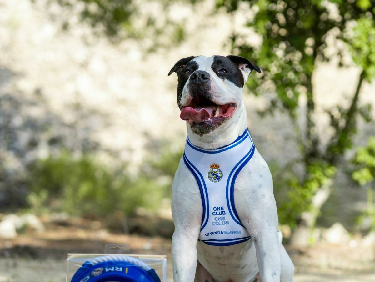 V4H677B3ED1606F718282CC5148C7E44658R7026791P3