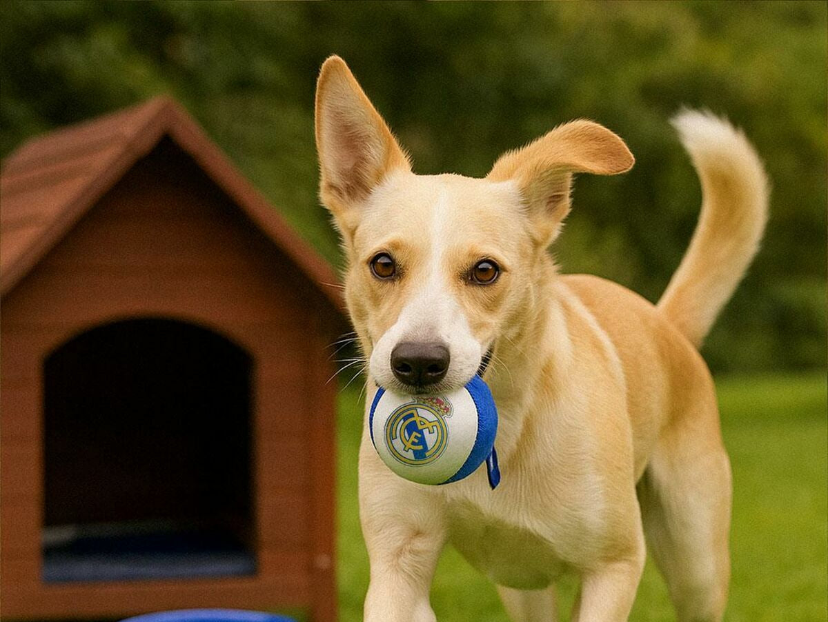 V4HB76375FE3171351623D1321E5B729C77R7026801P8