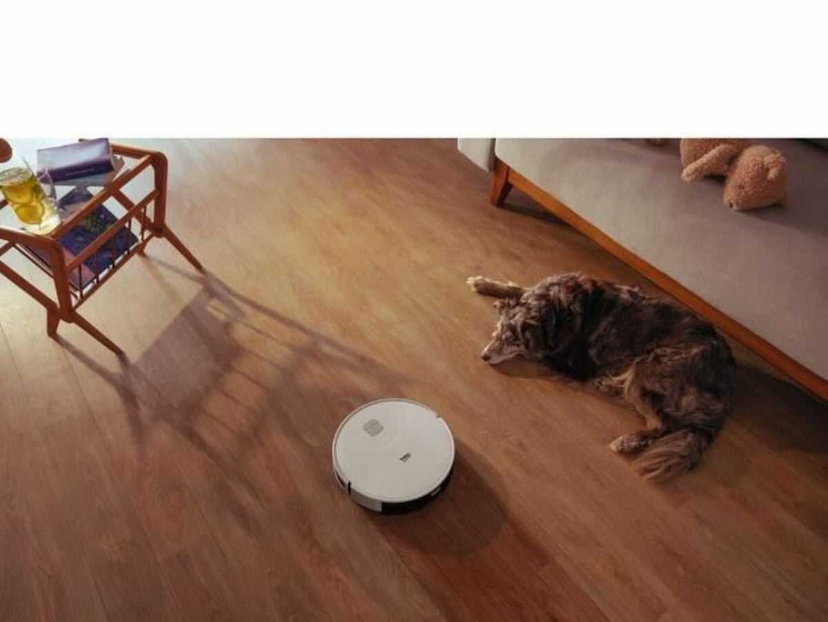 V6H438A44CAD3005853F6DBDE952876D529R4261892P5