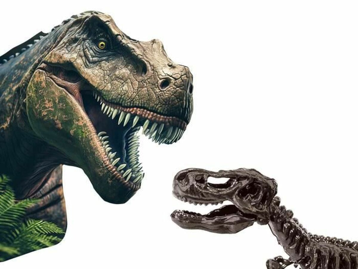 V5HDBB0B60A71AF5DF4B67D3535EC919042R5916989P3