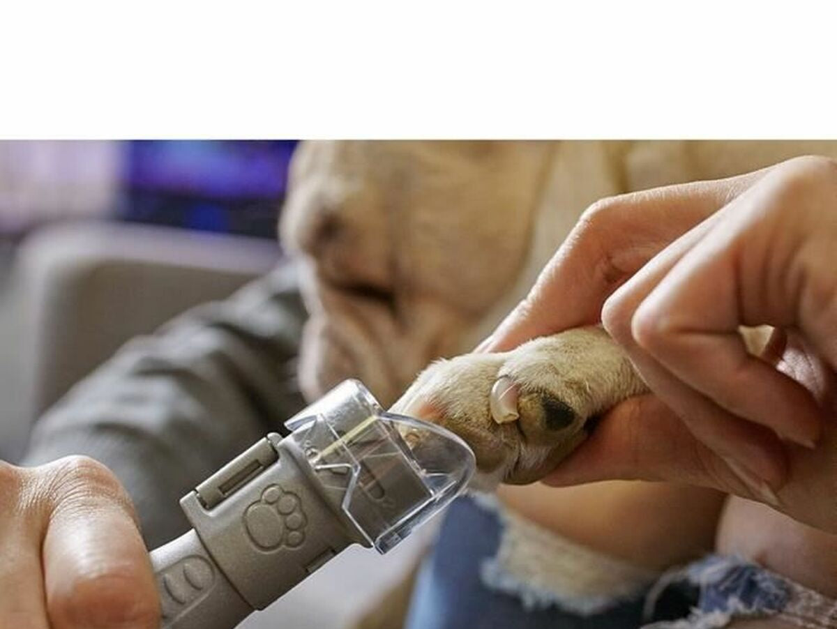 V8HF2307F831D1374BAF4B5A6458C803928R3744453P3