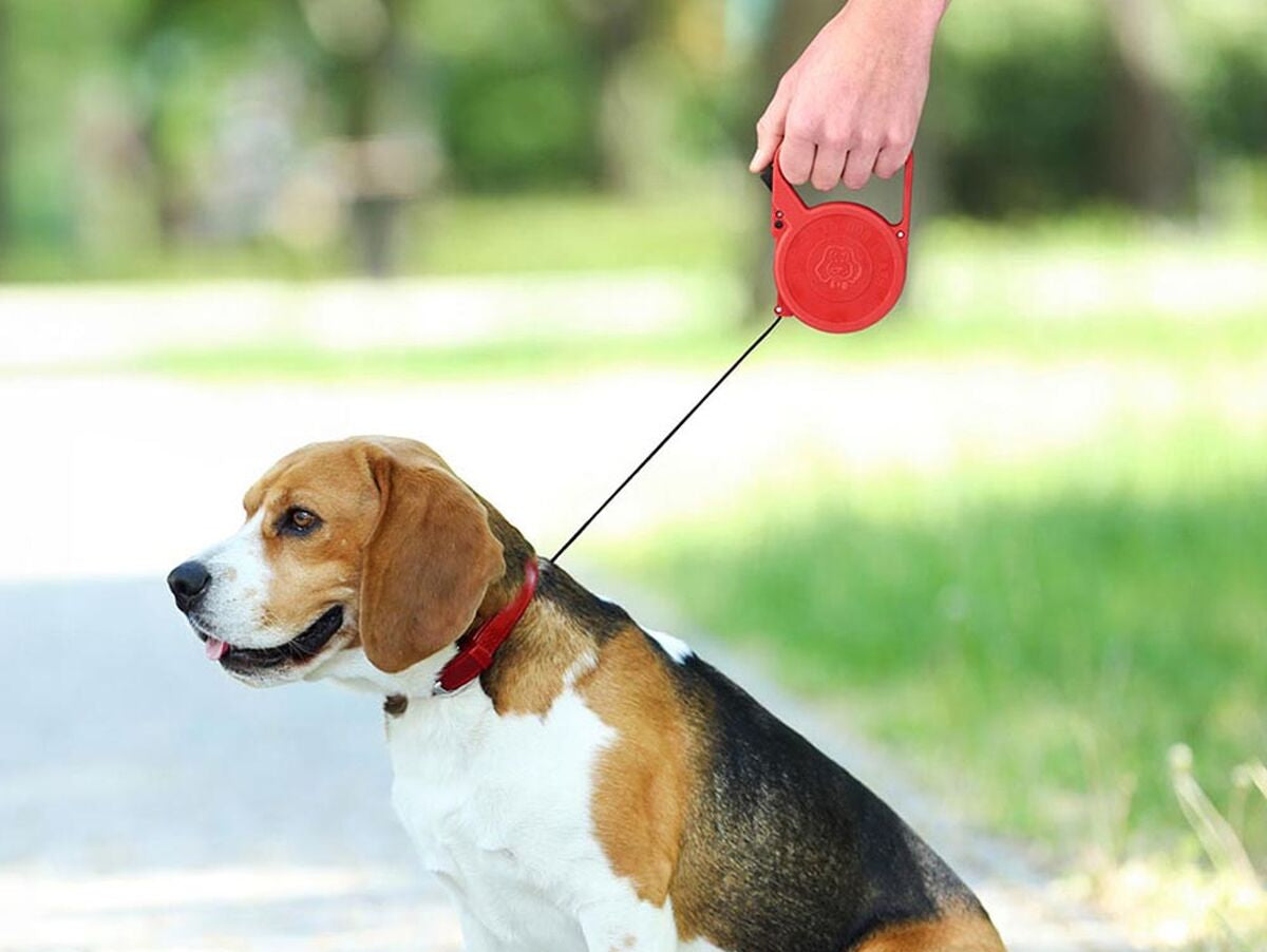 V6H604F3F071B12D670C2C5123AE9C39144R5072621P3