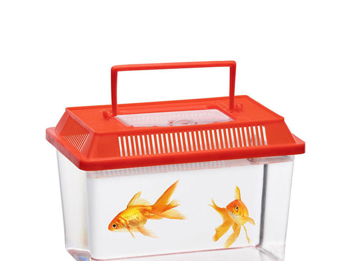 V6H365480E35FCC89DBCA3F6281AA74C07DR4447827P1