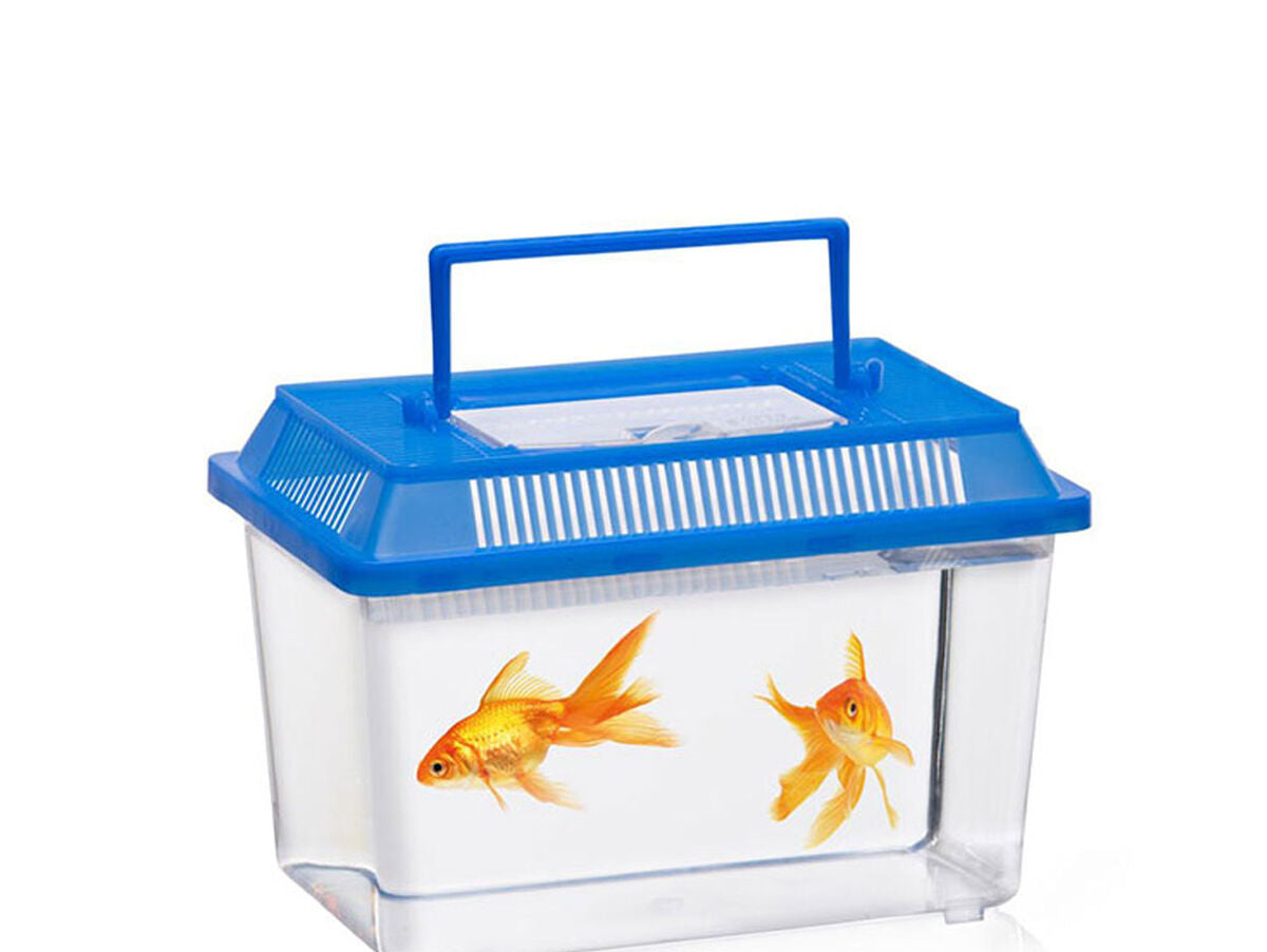 V6HCD06D48CF67106C602358A693FF261B6R4448940P2