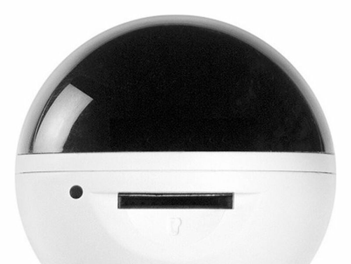 V13H19884B42529C9A50B026F11653485C41R3550094P2