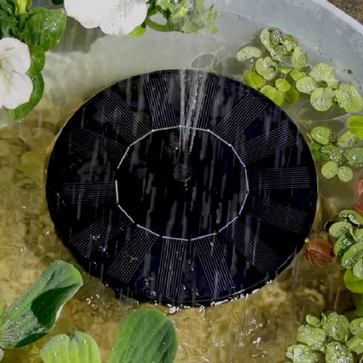 V8H9D3C30D105DABB33F06C8C13784A642CR5504710P4