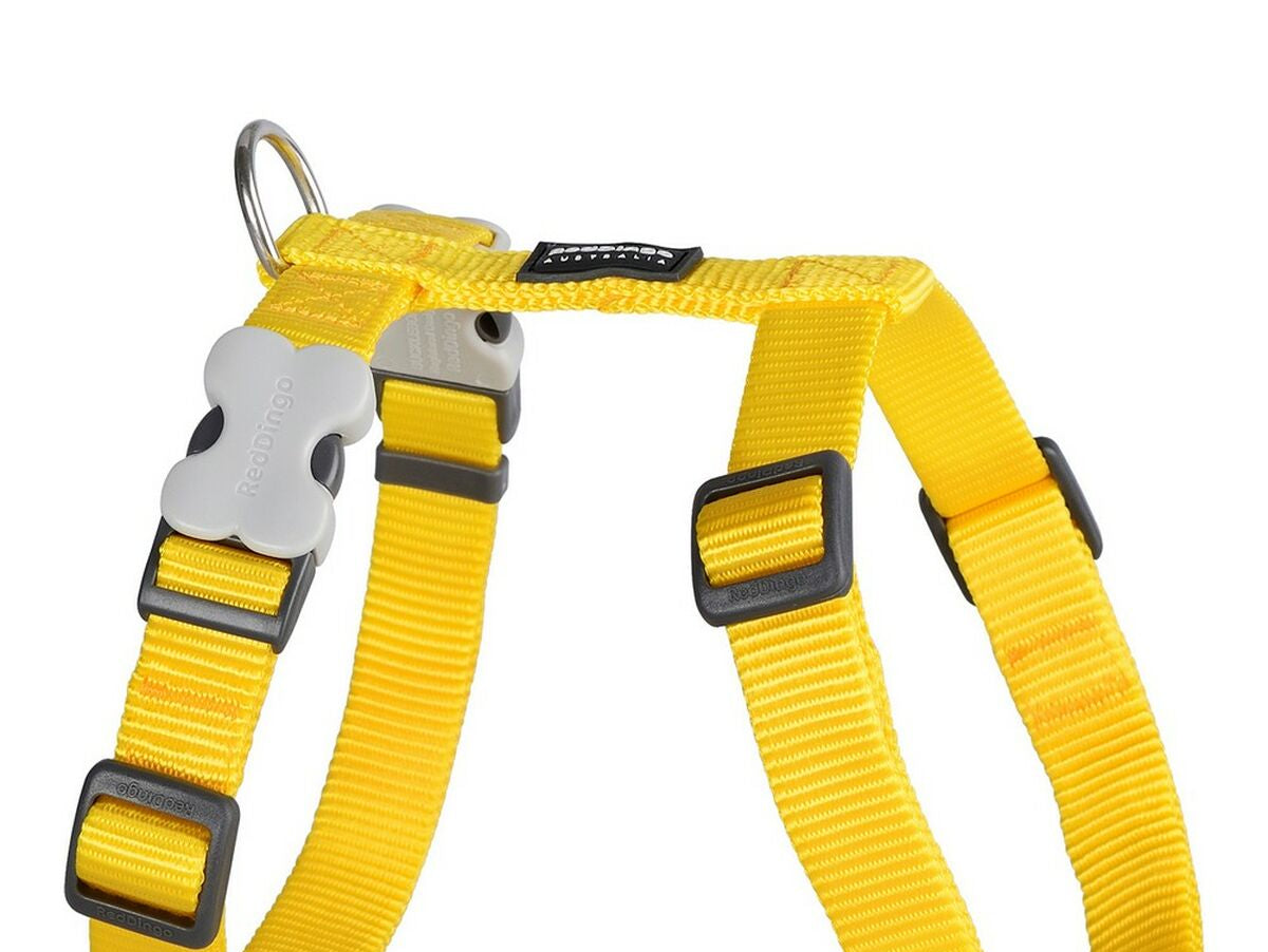 V9H0E5832B0AC3221844BC28F10E1DF9735R4414109P1