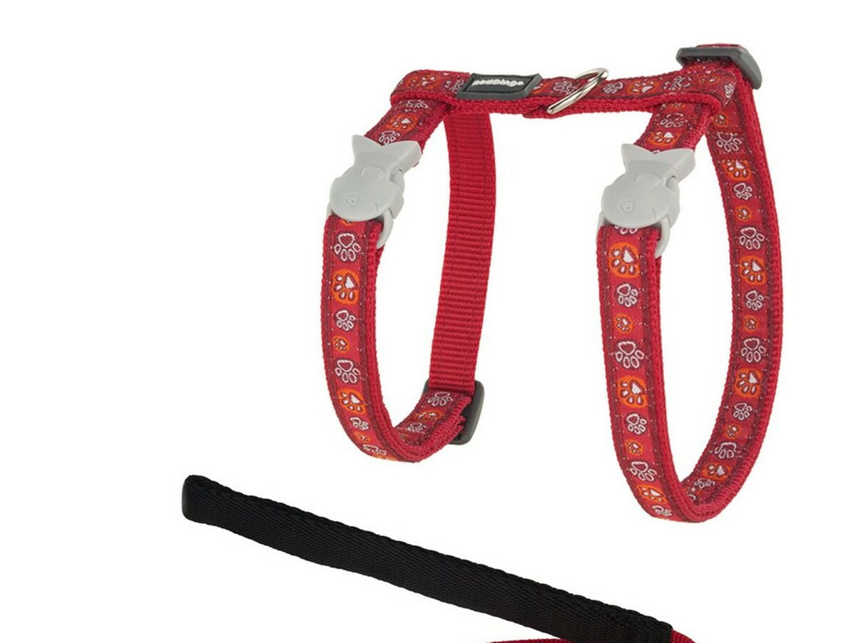 V11H35FE56F3CABC7FD01D1896EB6817FB8BR1615854P1