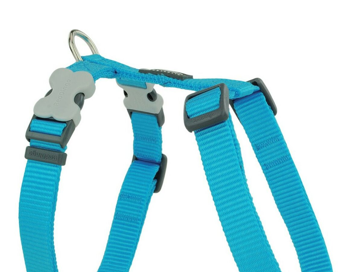 V9H80FC781E70FDD757CBC9BA04685FB33AR4354673P1