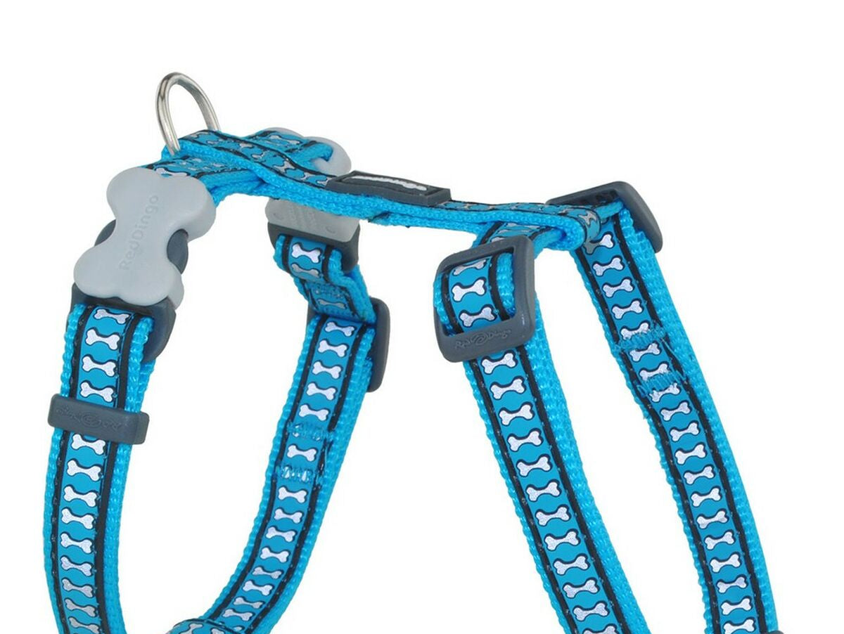 V9H3EA147288E4CB7A605BF0D658164A6FFR2353779P1