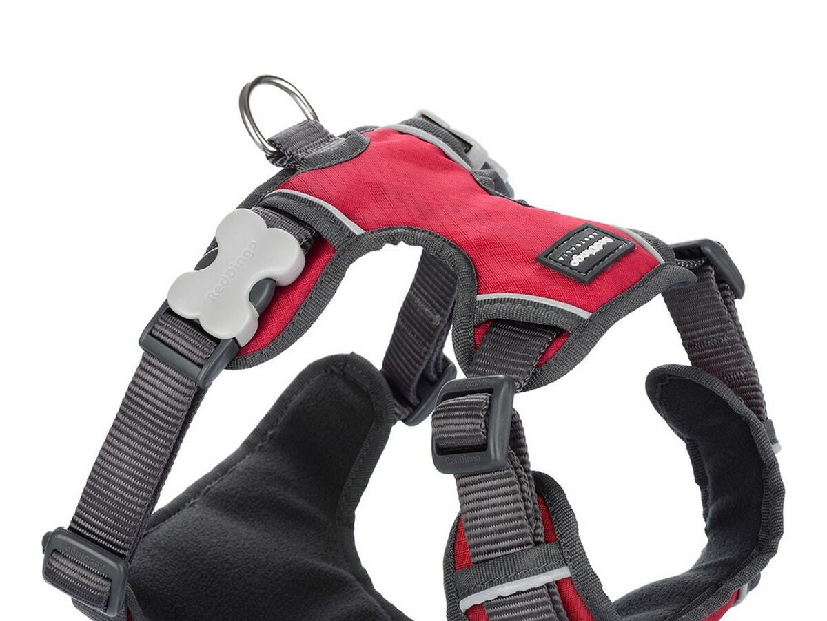 V9H3C834AEF66D6BE029F672E83C732B55CR2350823P1