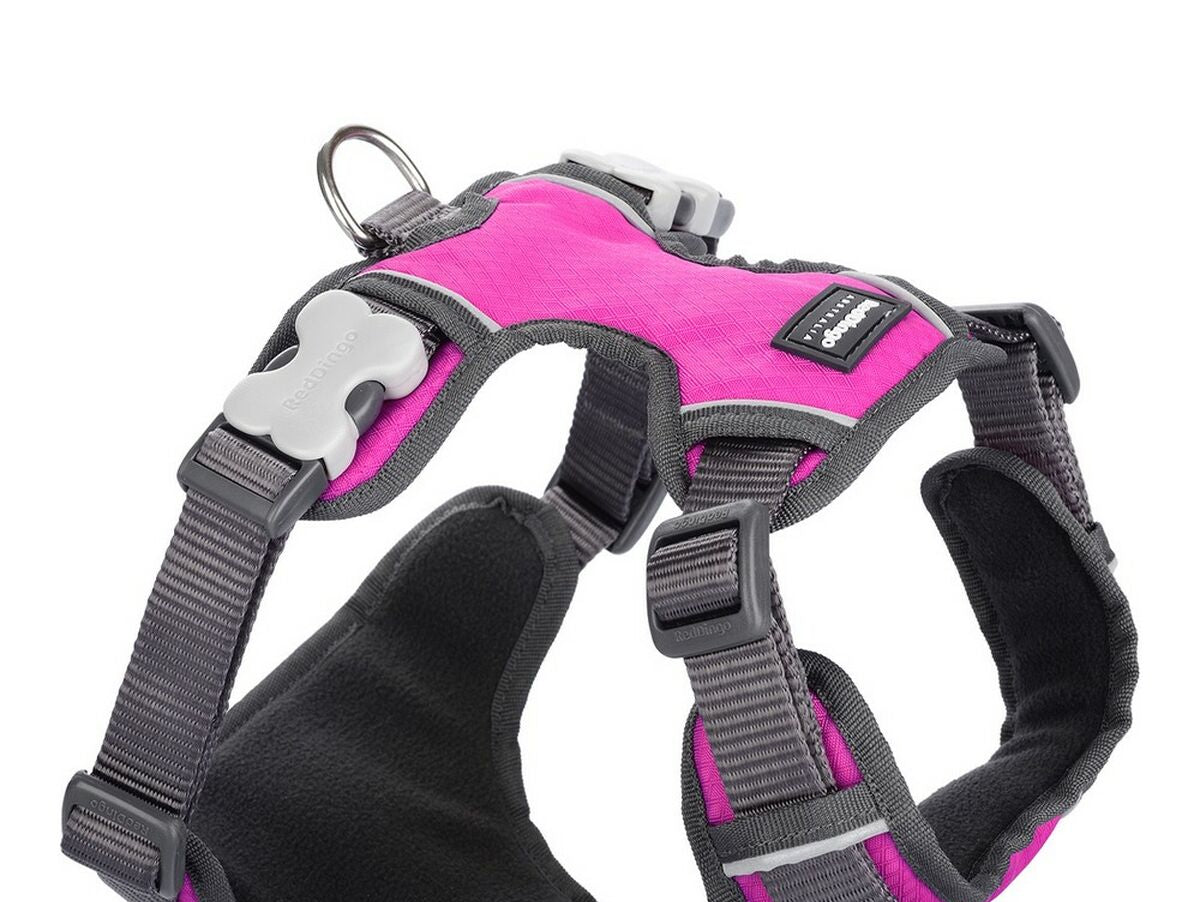 V10H1CEA21377F4AD54F3A4426A13C8A2943R4023945P1