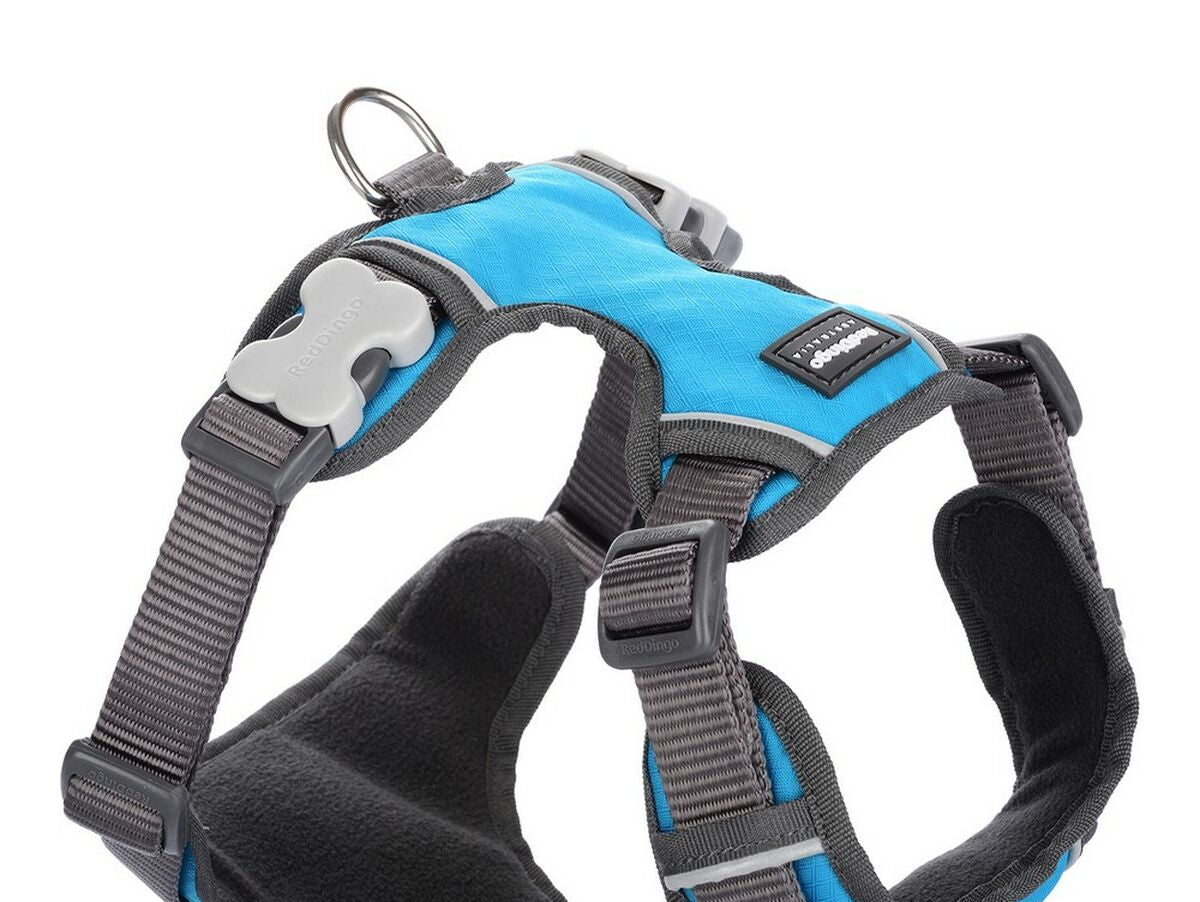 V10H65B3C082C09C26D06ED0E364284E3203R4014073P1