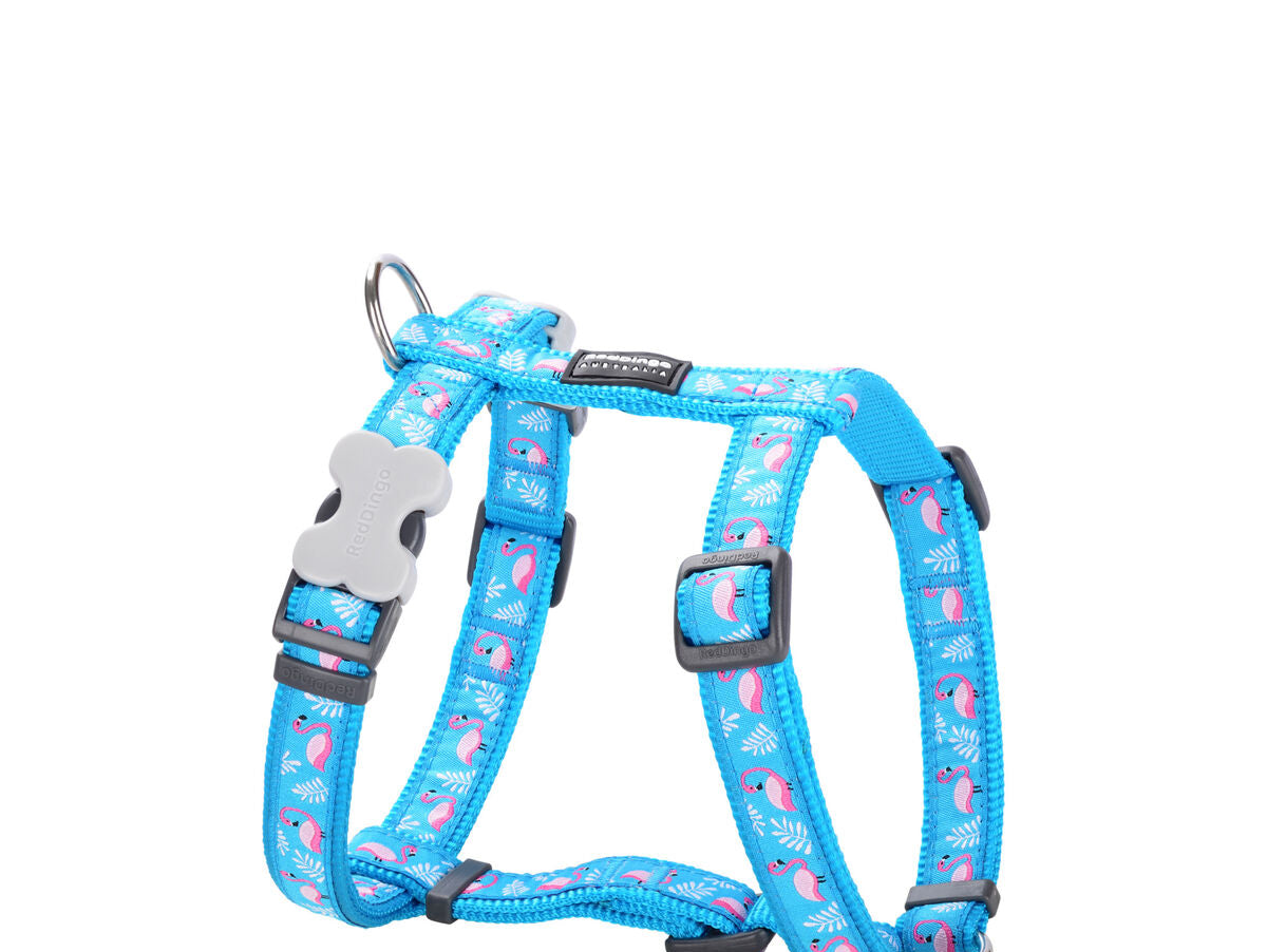 V8H01ED775885056AD01DF9464F5CAA7443R3293046P1