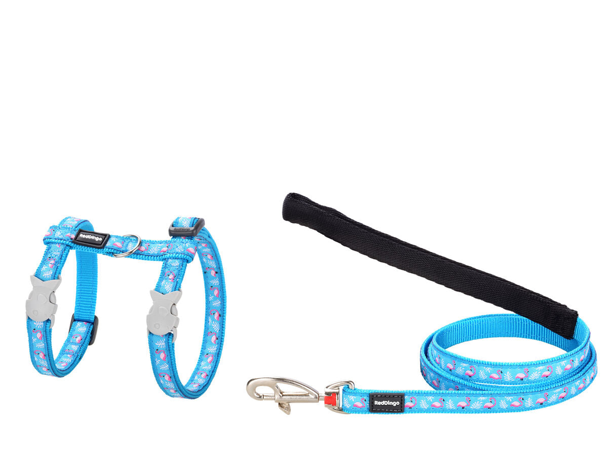 V8H37AE19E06E80CCBC5D9B152E76A4F9F5R4989182P1