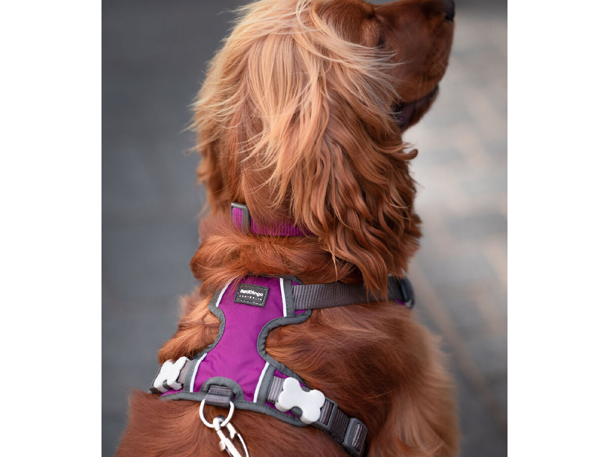 V8HF2E387E5E4BA965ED3EBFB495EE80E94R3292957P3