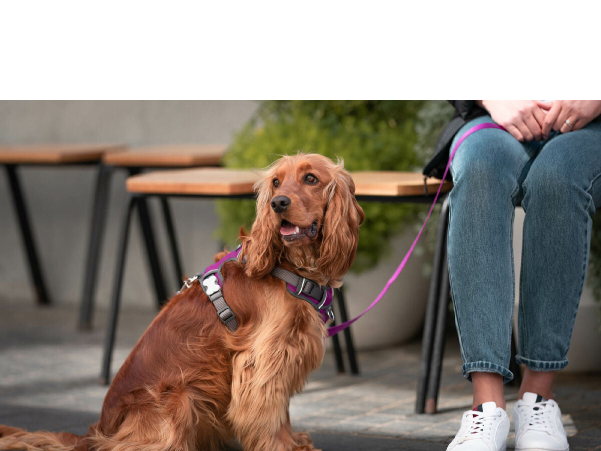 V8H177A8D9FC32821988AB4C83800EABFF2R3293005P4