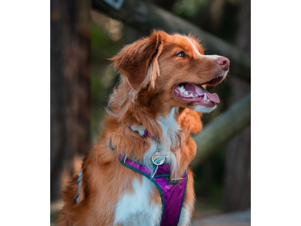 V8HCEC485AD2261C3C124753A758A478E45R3293051P2