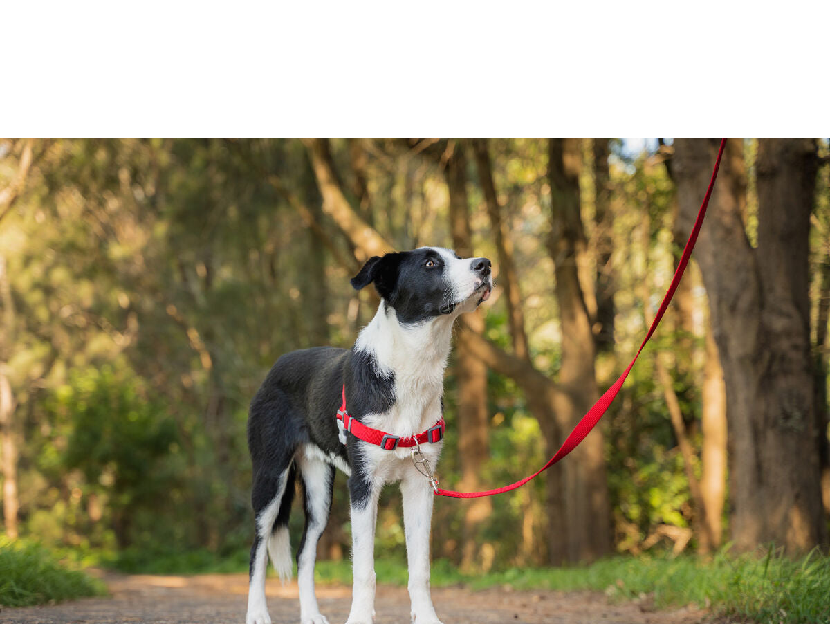 V8H784CA40DF950BFF0FC8BA87123AF8E9DR3623341P2