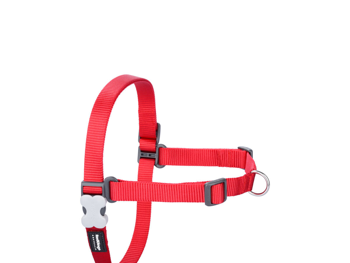 V8H18D0FBFEA20BDD07AEC5D80928098C56R3627634P1