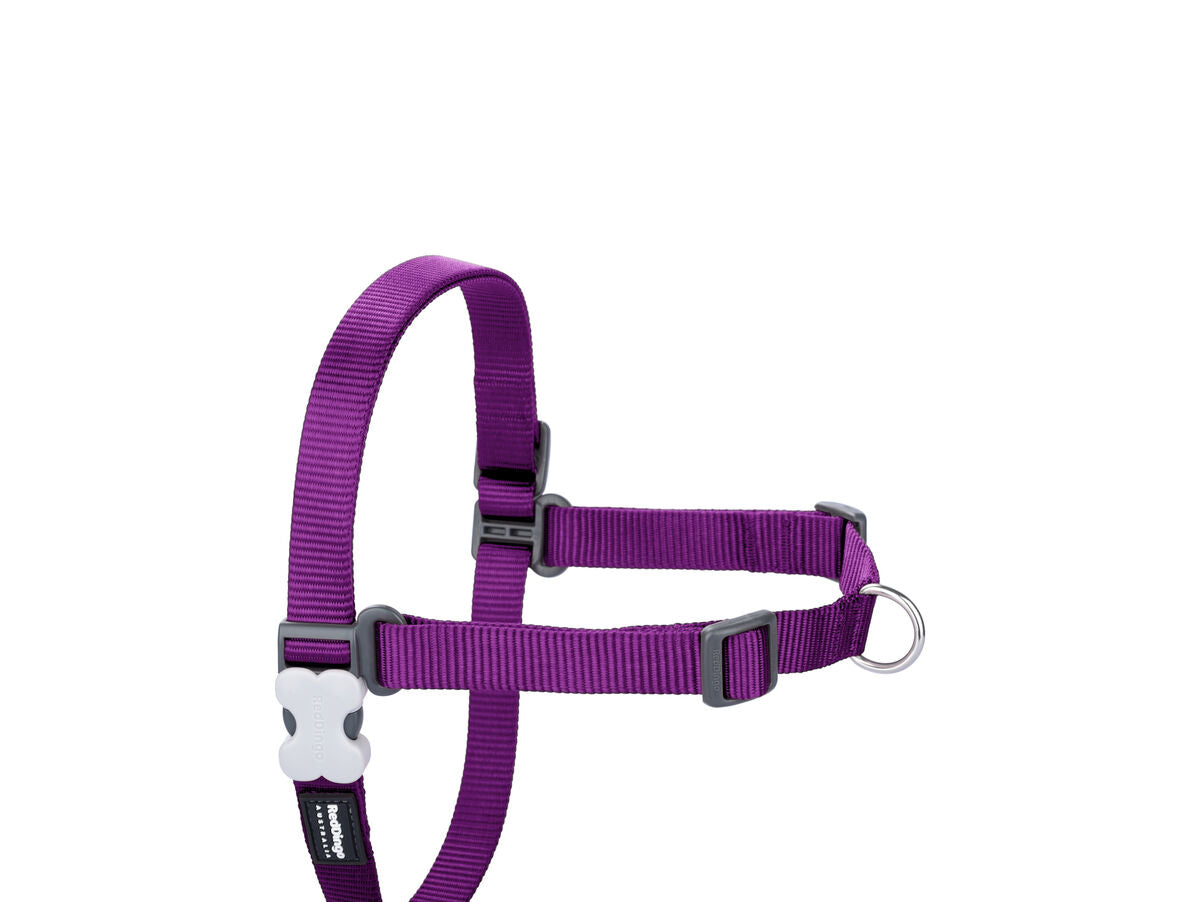 V8H0B3EE38359598A2776D58FC52D850AD7R3626873P1