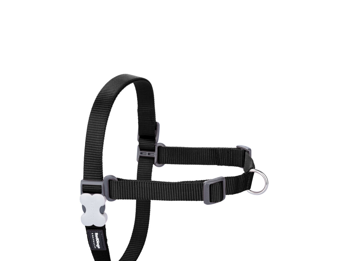 V8H61A884EA164C076A80C8FBF4C4C83527R3626858P1