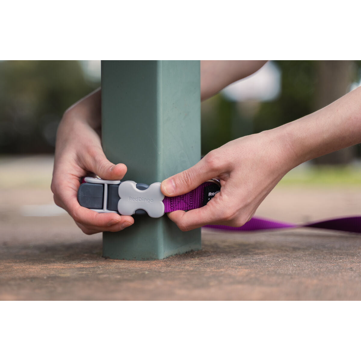 V6H09794AAA22789EBC4529EEE29EC74135R3627673P2