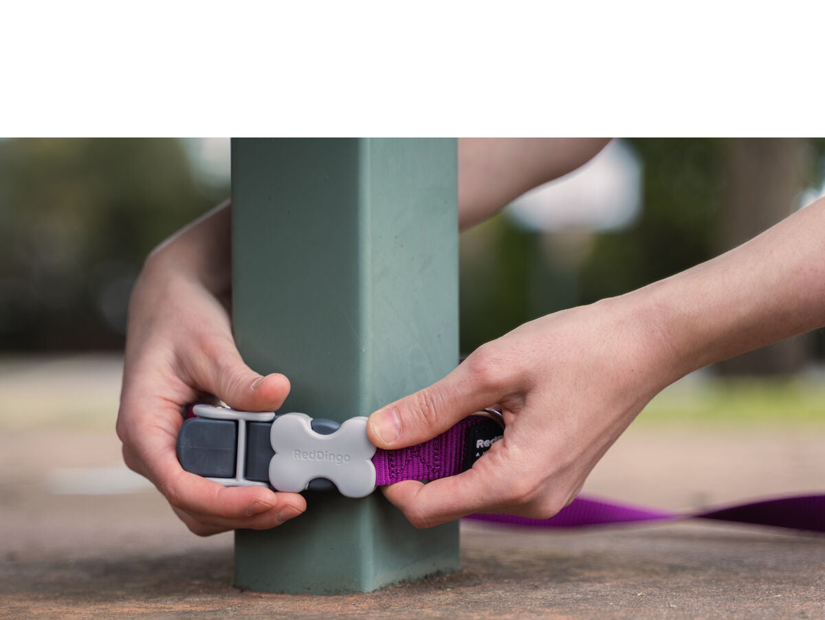 V8H09794AAA22789EBC4529EEE29EC74135R3627673P2