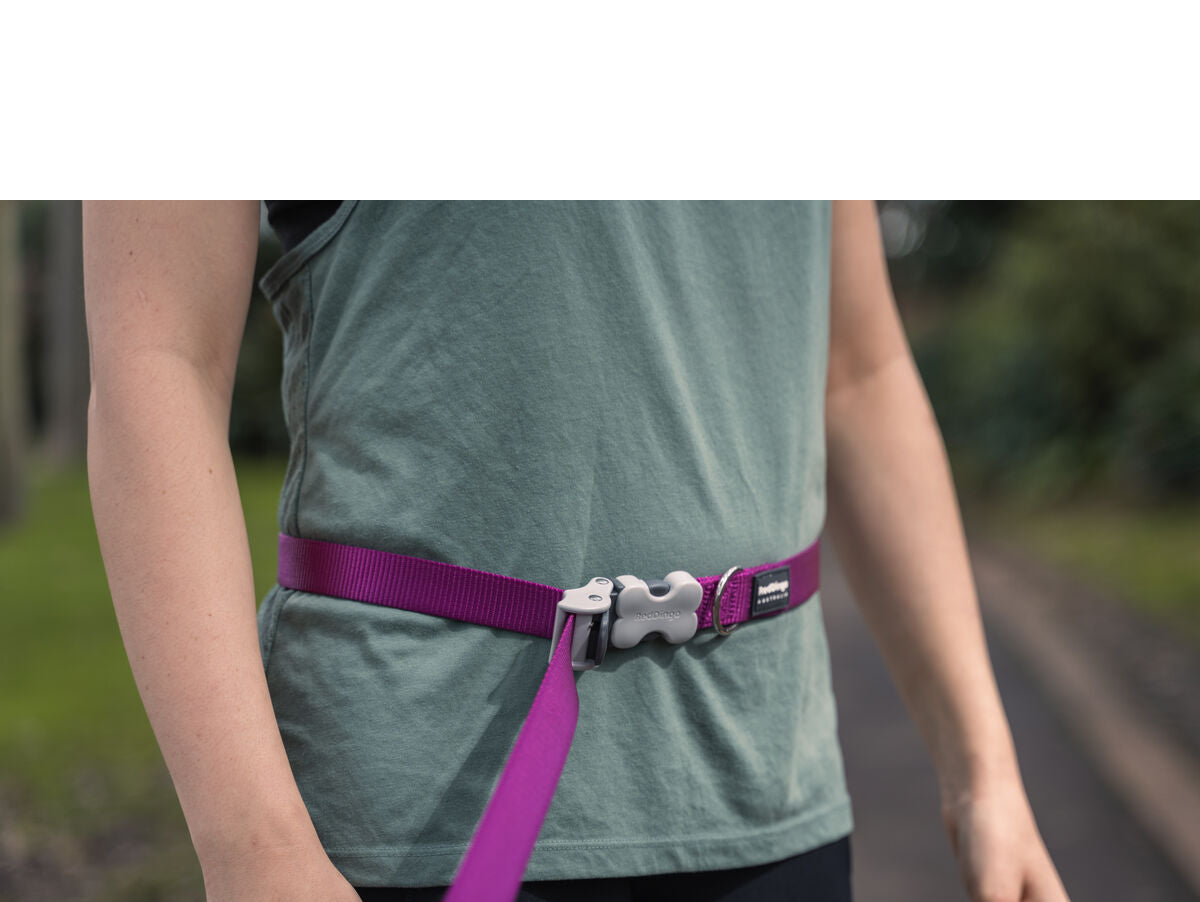 V8H9ED98F81E7EF8A8F7BA9FF1212C96B7FR3627705P5