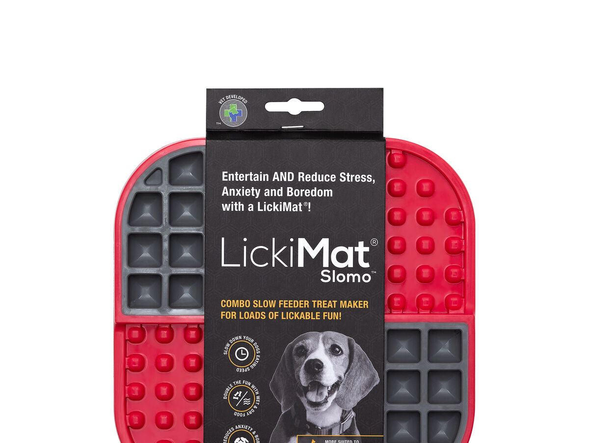 V6H928C7FF5908E0F15D7AF7CF9F0AE2193R4438081P2