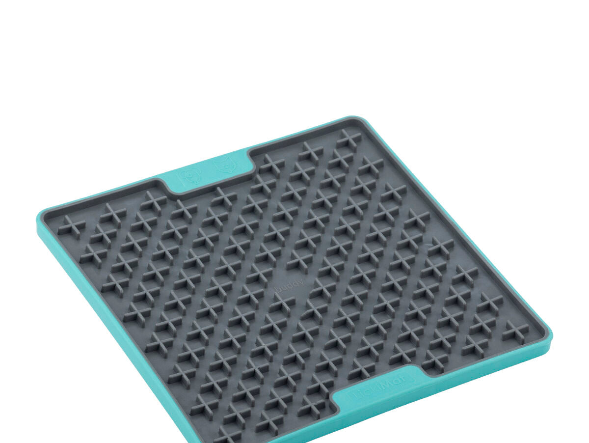 V9H5691F11C36B7F6F914C0E4649A1881F9R4268326P2