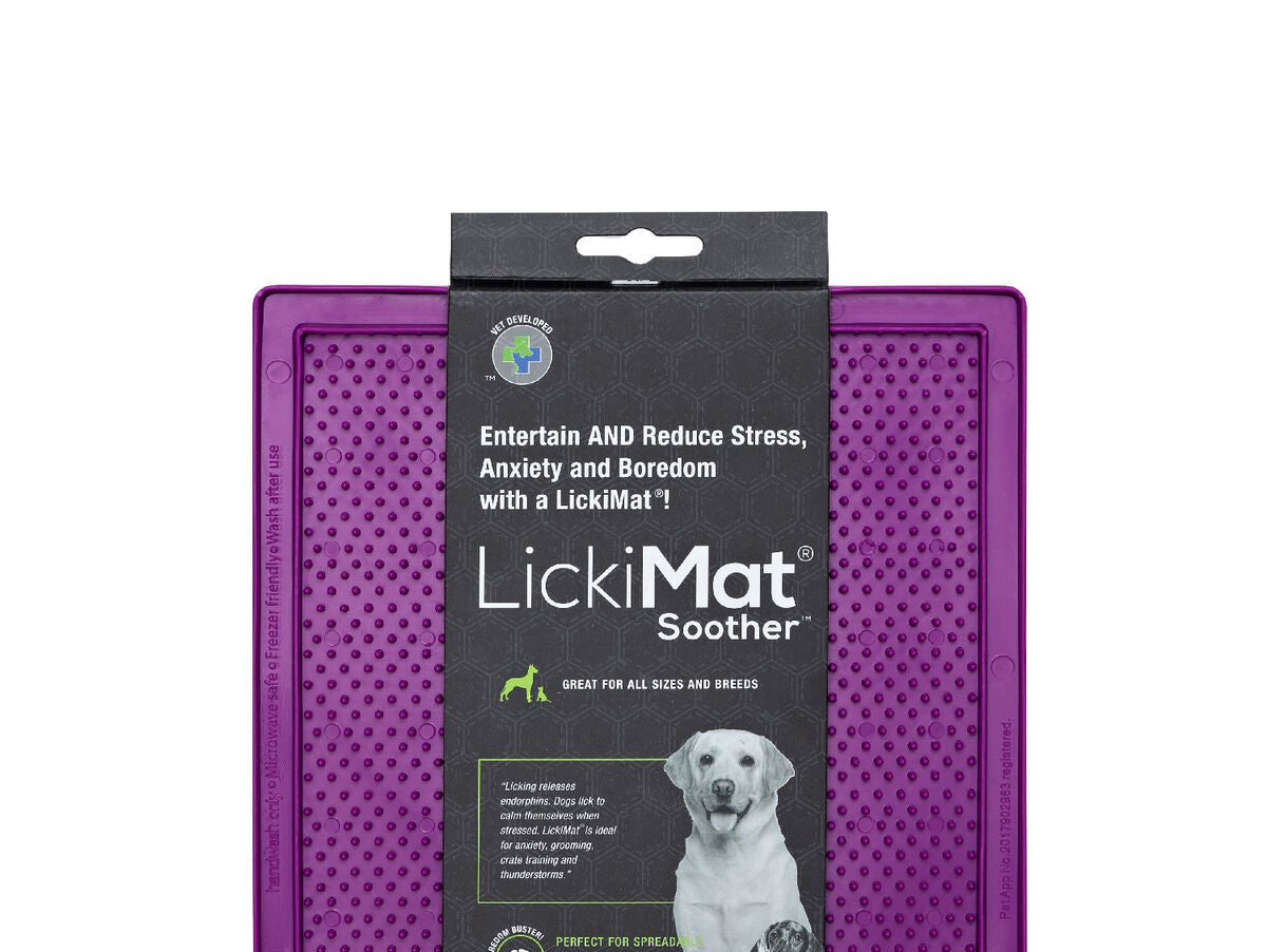 V9H90BF5F0E4D4C8A03F3892D8A5C1E62E2R4268330P1